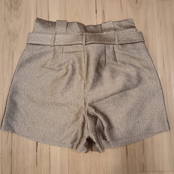 Express Metallic paper bag shorts - Picture 2 of 7